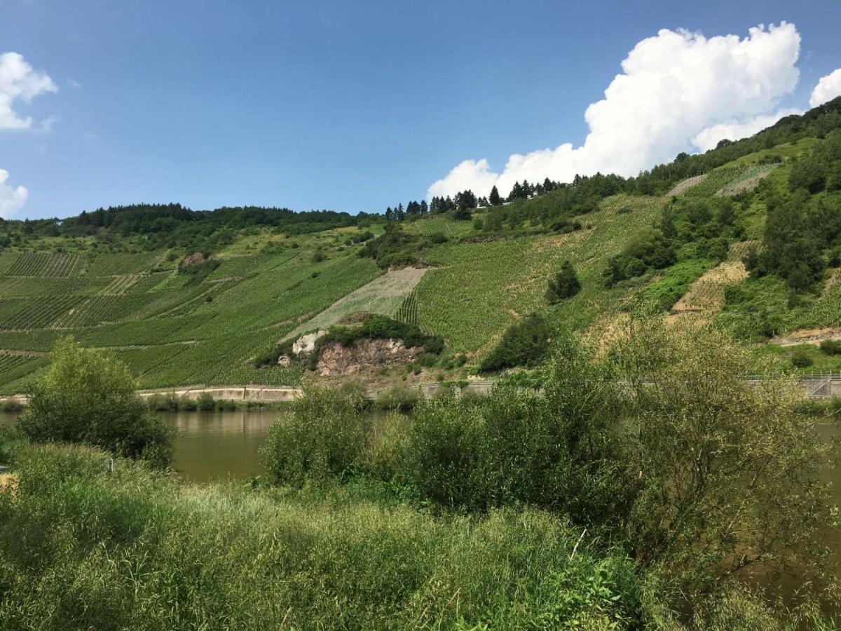 Vila Spitzhaus Wolf Traben-Trarbach Exteriér fotografie